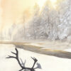 Sami landscape
