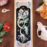 Henbane, The Witches Plant by Megan Laude (Scarlet Fox Studios)