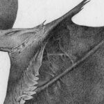 Cthulhu-Ish Drawing Detail by Allen Williams