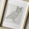 Persimmon the Meowl. - Image 2