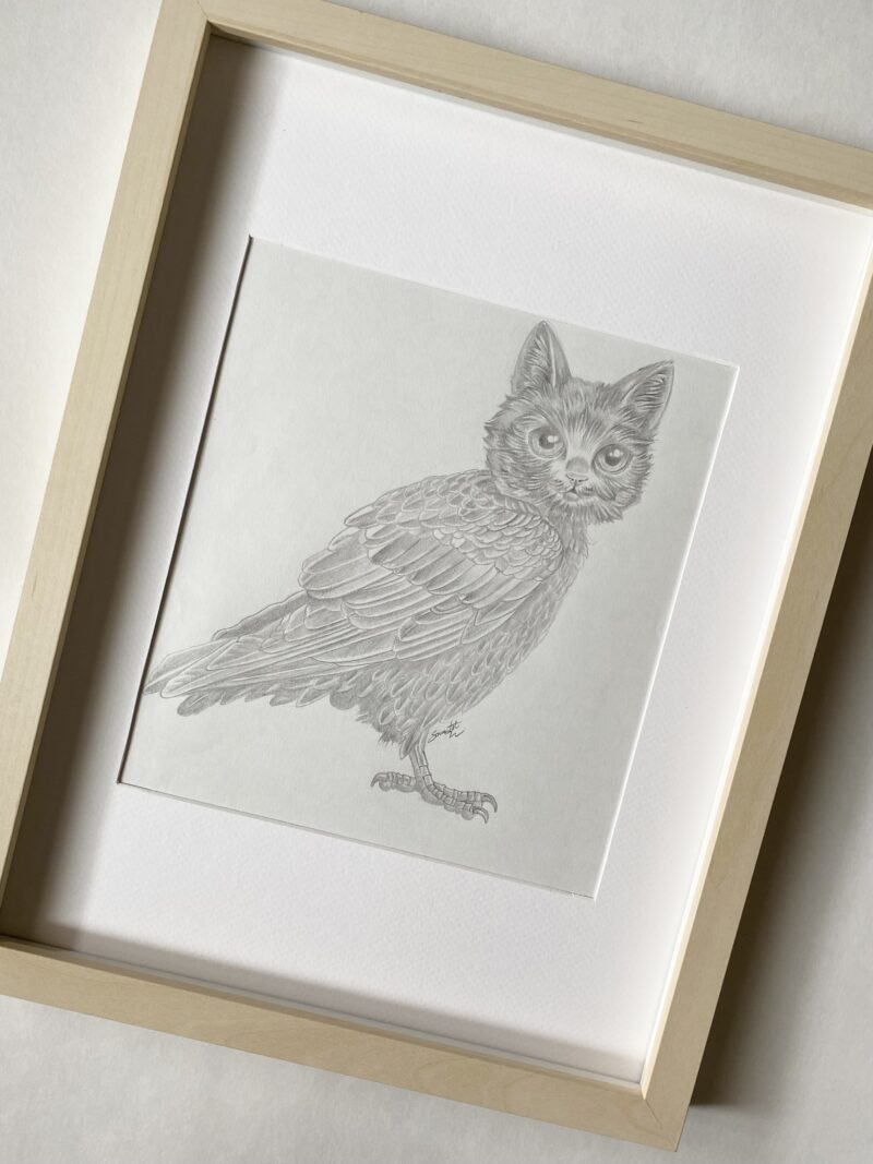 Persimmon the Meowl. - Image 2