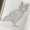 Persimmon the Meowl.