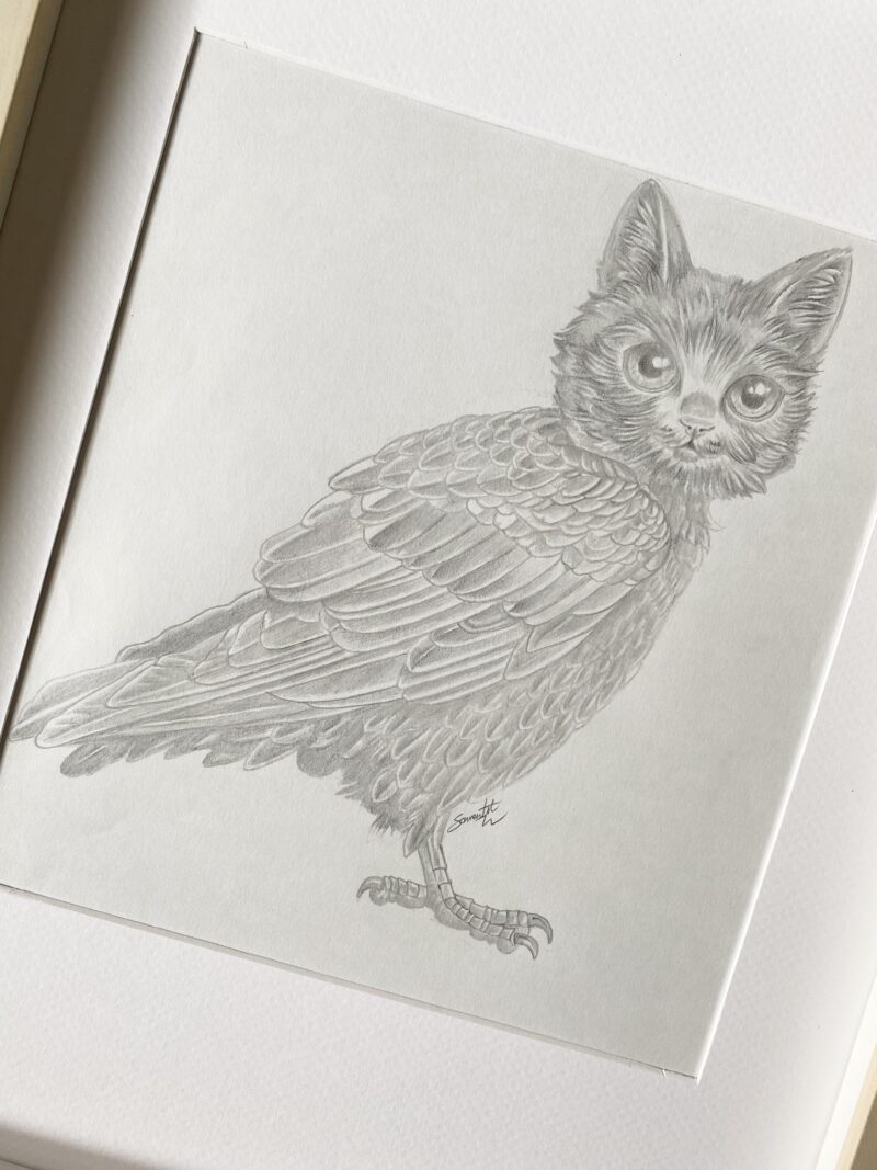 Persimmon the Meowl.
