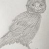 Persimmon the Meowl. - Image 5