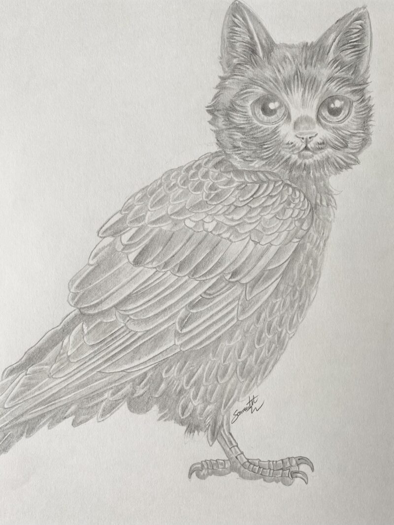 Persimmon the Meowl. - Image 5