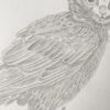 Persimmon the Meowl. - Image 4