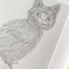 Persimmon the Meowl. - Image 3