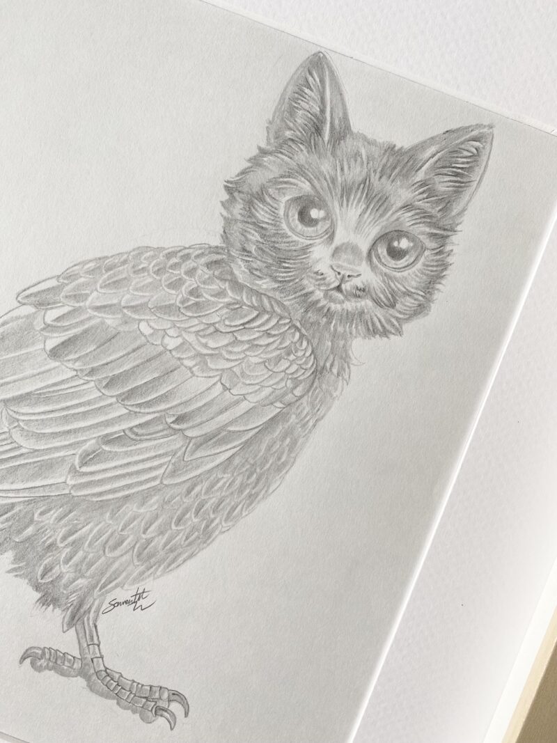 Persimmon the Meowl. - Image 3