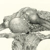 Covenant Banner - Image 3
