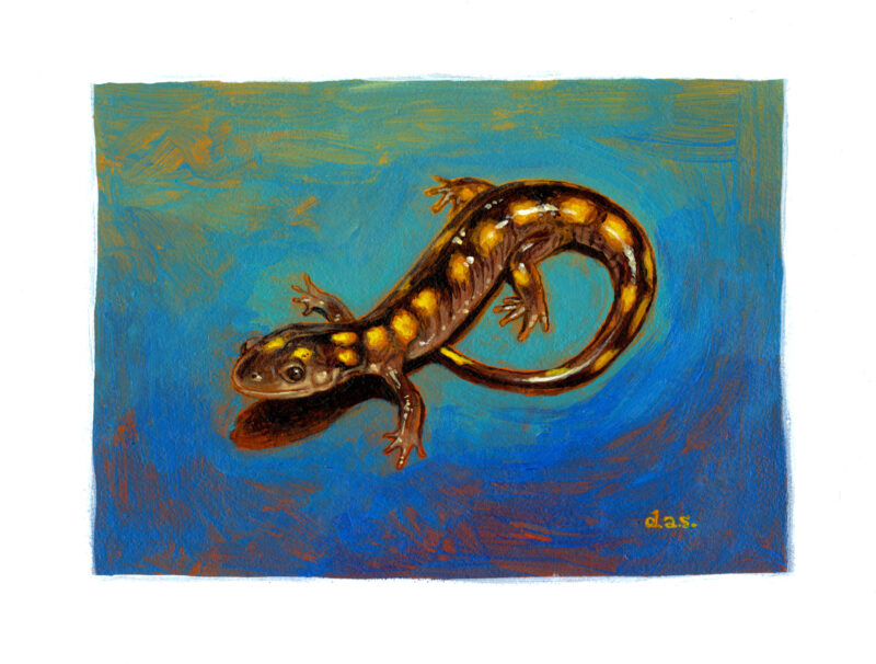 "Terrarium III" -- by Danny Schwartz
