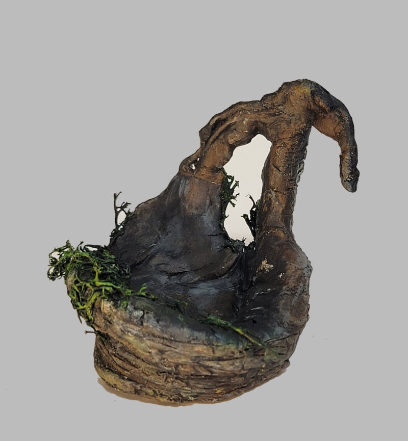 Little Cetus - Image 6