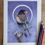 "Shadow's Turn" - by Angelika Rasmus