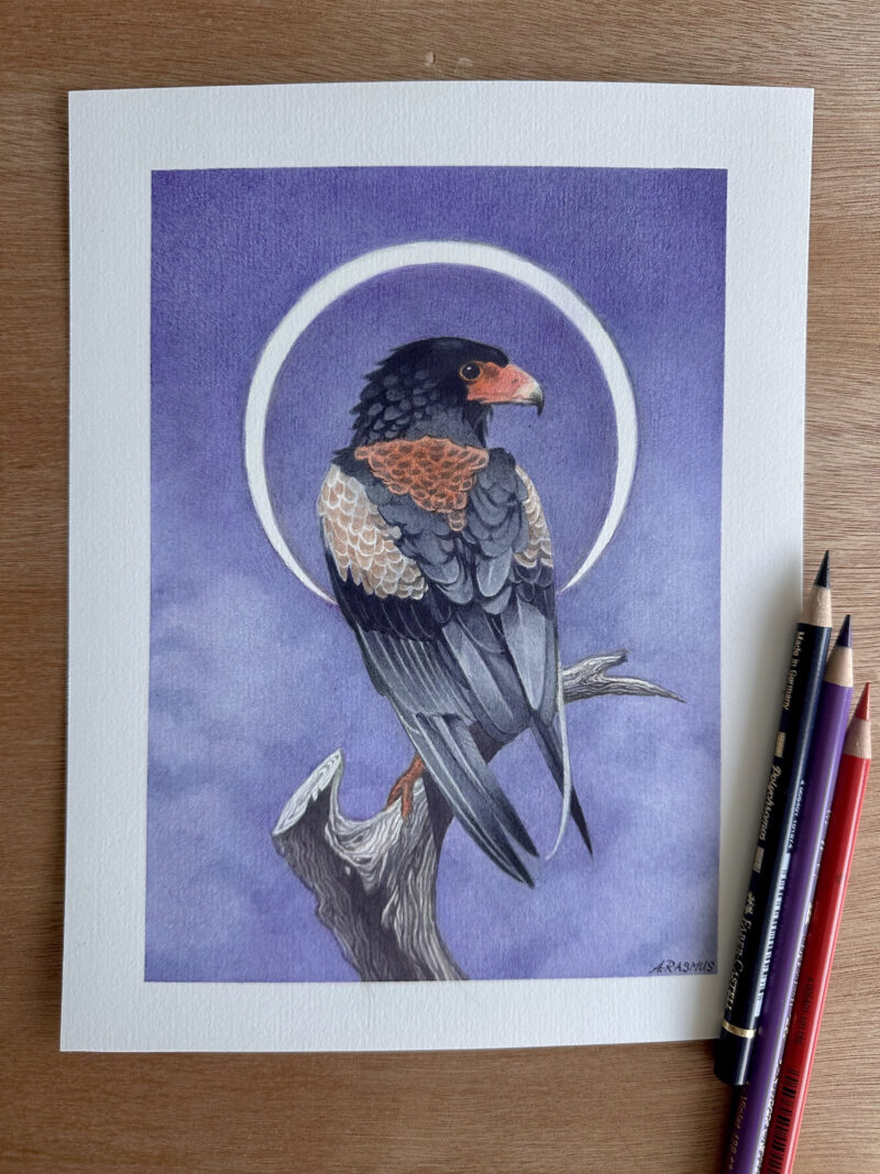 "Shadow's Turn" - by Angelika Rasmus