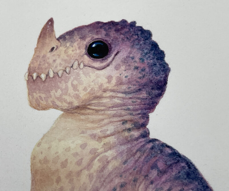 A Tiny Gentleman - Image 3