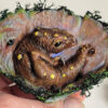 Little Cetus - Image 4