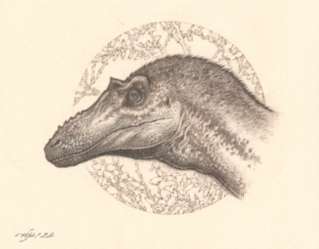 Pencil drawing of the head of the theropod dinosaur, Qianzhousaurus, in profile view, facing left.