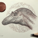 Pencil drawing of the head of the theropod dinosaur, Qianzhousaurus, in profile view, facing left. The drawing is photographed with a penny and a pencil.