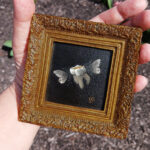 Art depicting a flying tooth, in mixed media, framed, in natural sun