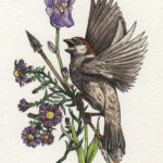 by Megan Laude (Scarlet Fox Studios)