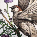 by Megan Laude (Scarlet Fox Studios)