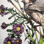 by Megan Laude (Scarlet Fox Studios)