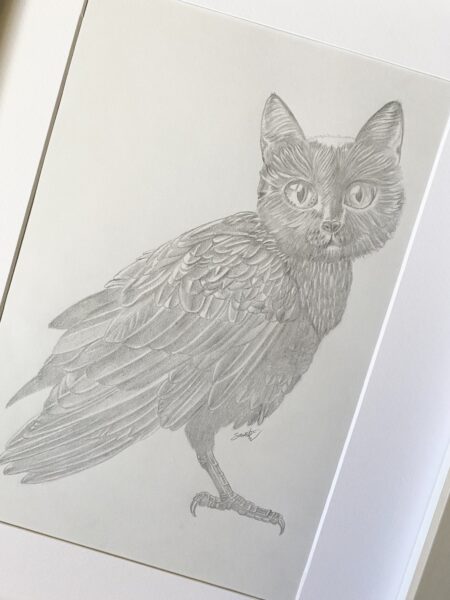 Holly The Meowl