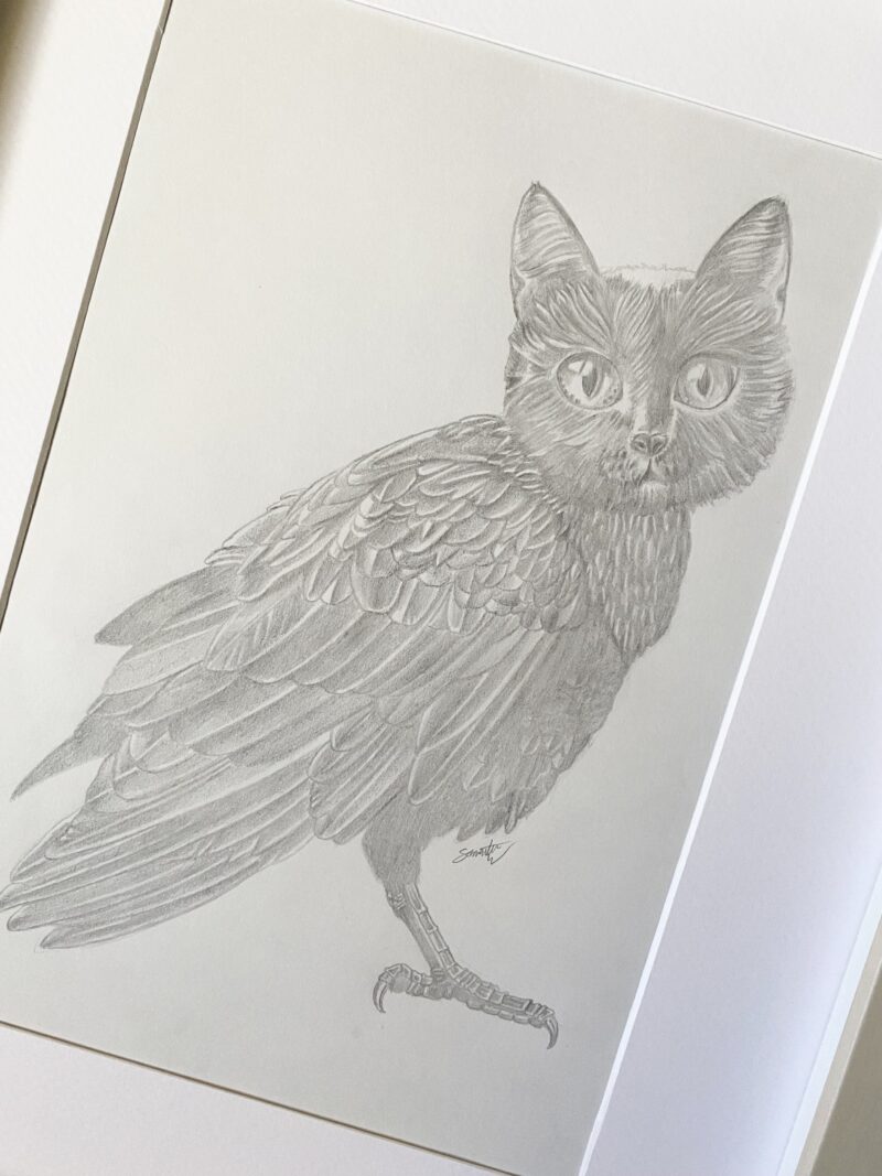 Holly The Meowl