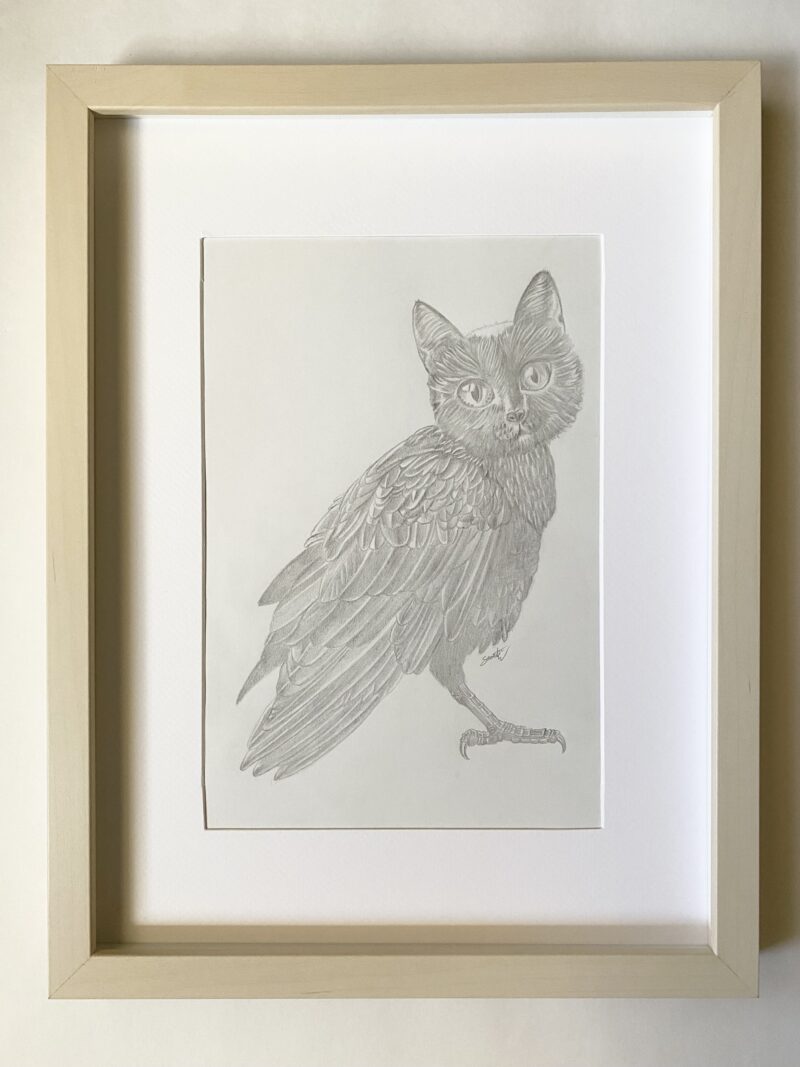 Holly The Meowl - Image 4