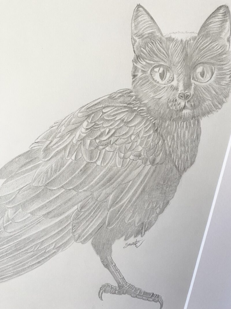 Holly The Meowl - Image 2