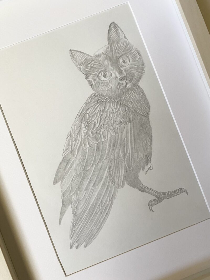Holly The Meowl - Image 3