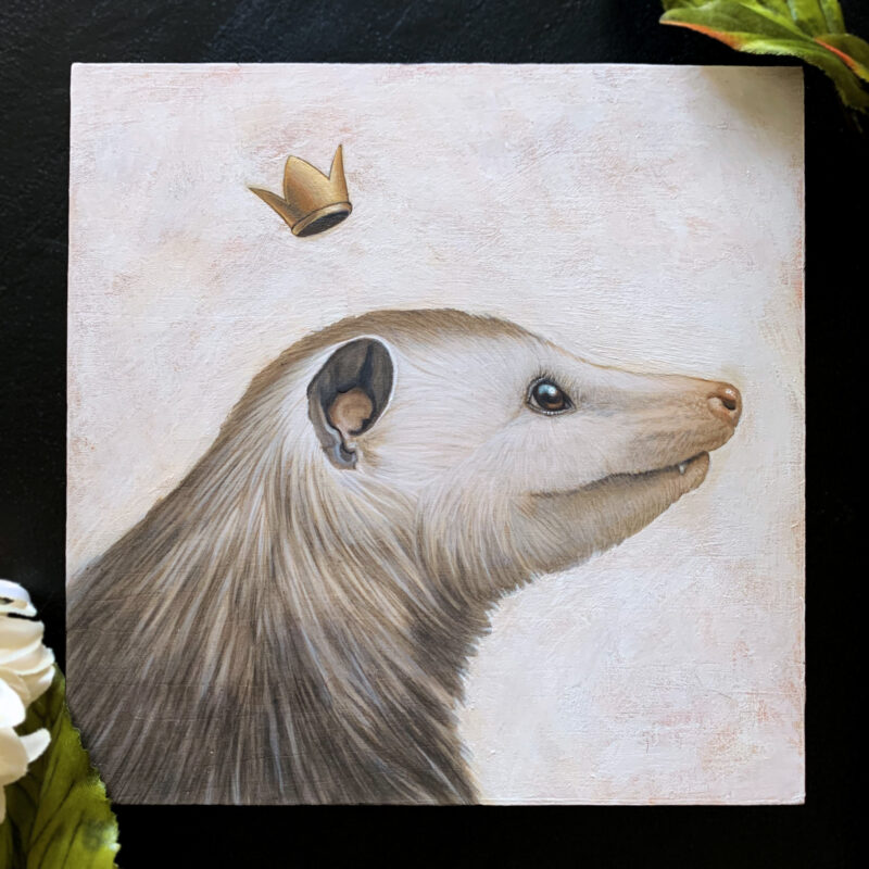 King Opossum - Carolina Lebar