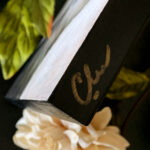 King Opossum - Carolina Lebar