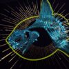 Metallic teal sunfish skeleton in glowing neon yellow outline, a golden sunburst behind