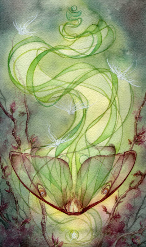 "Eidolon" - by Amelia Leonards