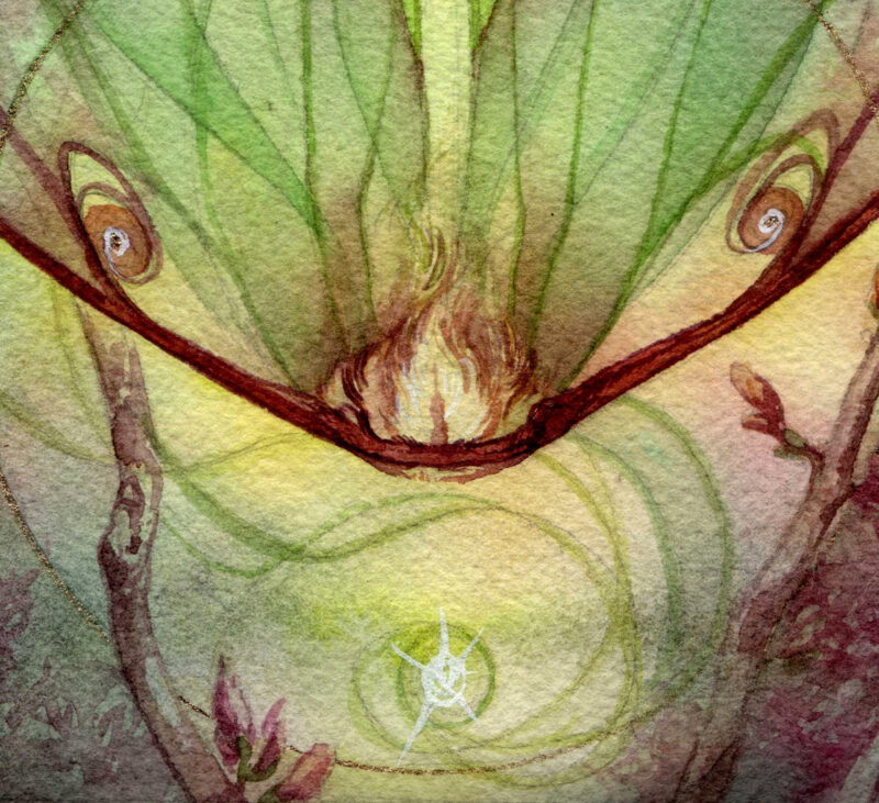 "Eidolon" - by Amelia Leonards