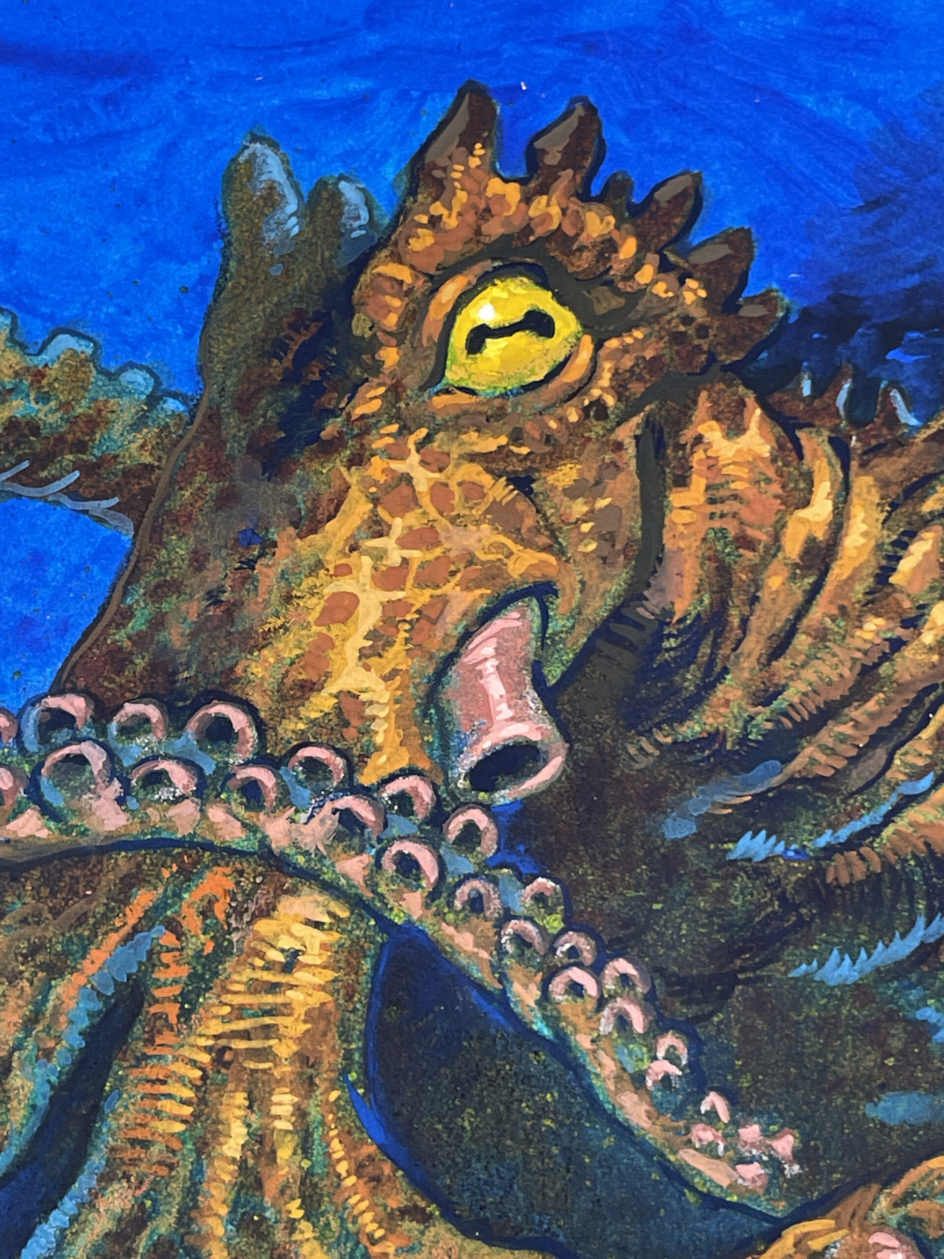 Octopus Study - Image 3