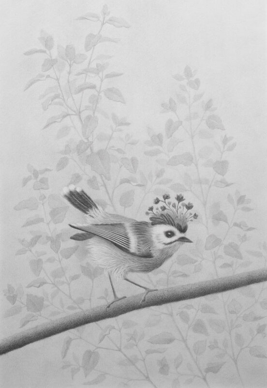 Little Joys by Marta Witkiewicz