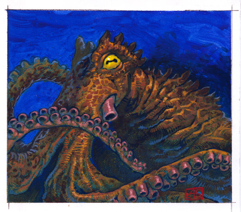 a painting study of an octopus