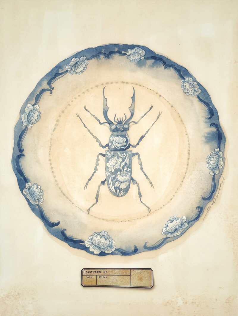 A hand-painted blue-and-white porcelain-style plate featuring intricate floral and vine motifs with a detailed beetle at the center. Inspired by antique Chinese ceramics and natural history collections, the artwork evokes the feeling of a treasured object displayed in a collector's cabinet of curiosities. The plate is photographed against a neutral background.