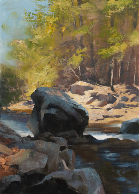 Passing Shadows, Hubbard Brook