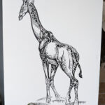 Ink drawing of a giraffe with extremely stylized ink patterning on it's body. The art is laid up upon a wall with a leaf in front