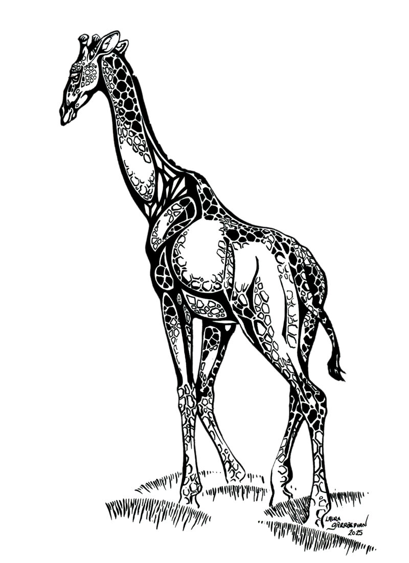 Ink drawing of a giraffe with extremely stylized ink patterning on it's body