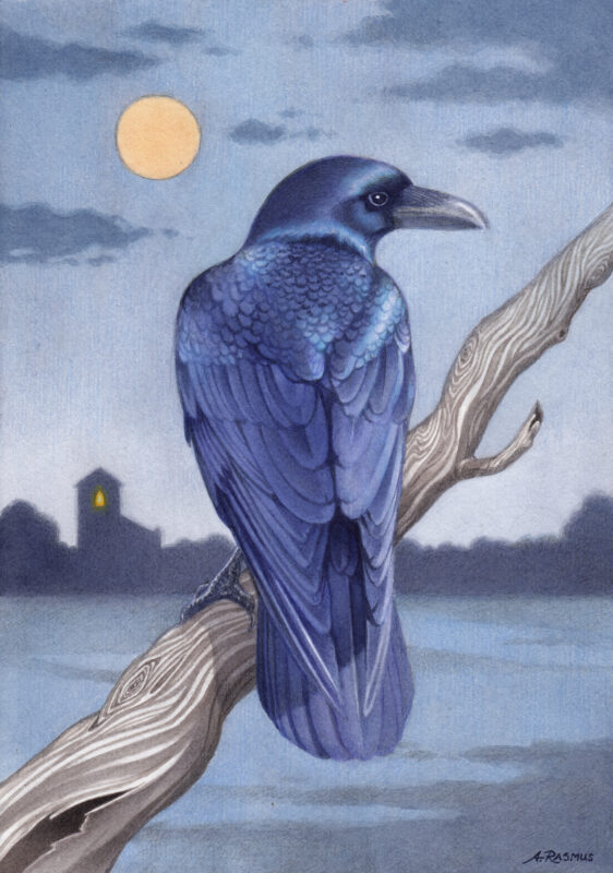 "Moonlight" - by Angelika Rasmus