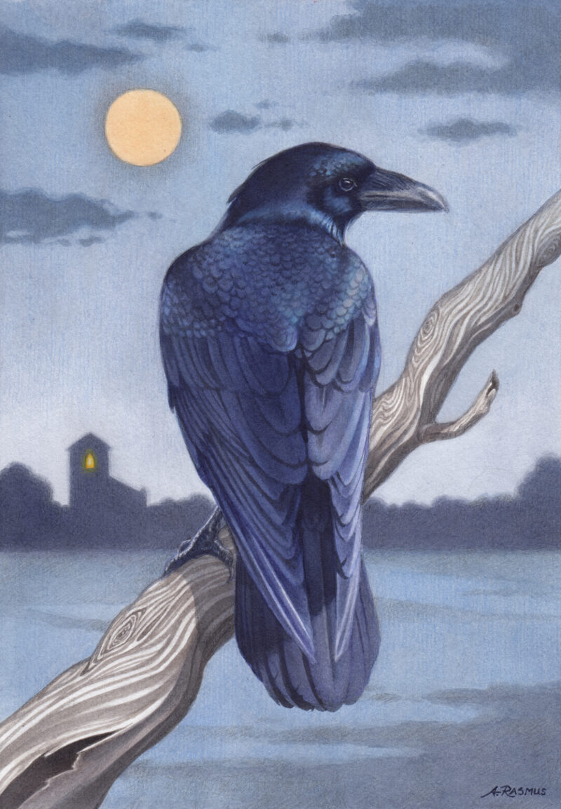 "Moonlight" - by Angelika Rasmus