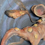 Mousequito Relief Sculpture