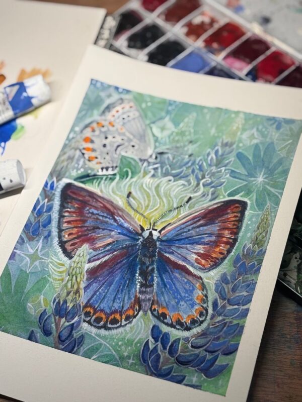 blue karner butterfly painting