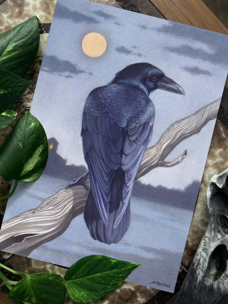 "Moonlight" - by Angelika Rasmus