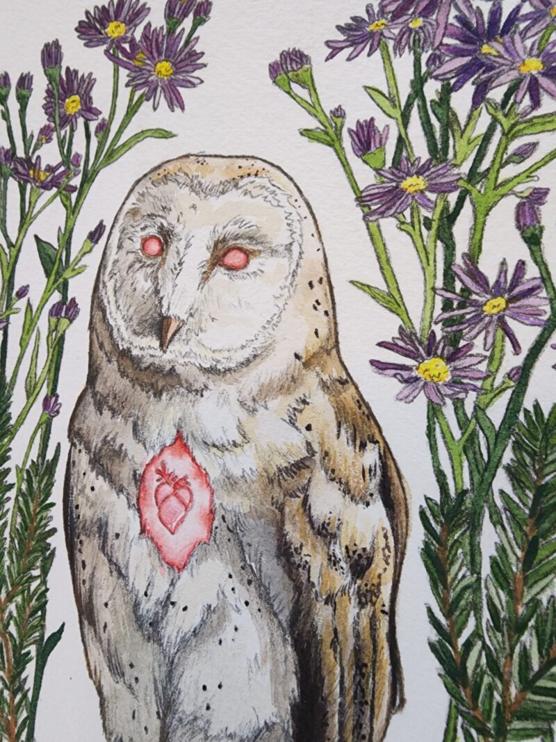 Watercolor and graphite illustration depicting a barn owl as a witches familiar, clutching in one claw a gold leaf pentagram. This piece features the owl familiar surrounded by different plants that symbolize and attract them: blackberries, aster, and pine.