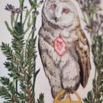 Watercolor and graphite illustration depicting a barn owl as a witches familiar, clutching in one claw a gold leaf pentagram. This piece features the owl familiar surrounded by different plants that symbolize and attract them: blackberries, aster, and pine.