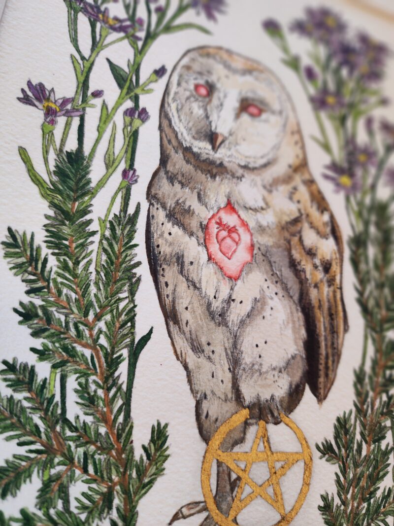 Watercolor and graphite illustration depicting a barn owl as a witches familiar, clutching in one claw a gold leaf pentagram. This piece features the owl familiar surrounded by different plants that symbolize and attract them: blackberries, aster, and pine.